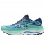 SEPATU LARI MIZUNO WAVE RIDER 27 SSW