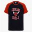 BAJU BASKET NBA Short Sleeve Tee Raglan Print Chicago Bulls