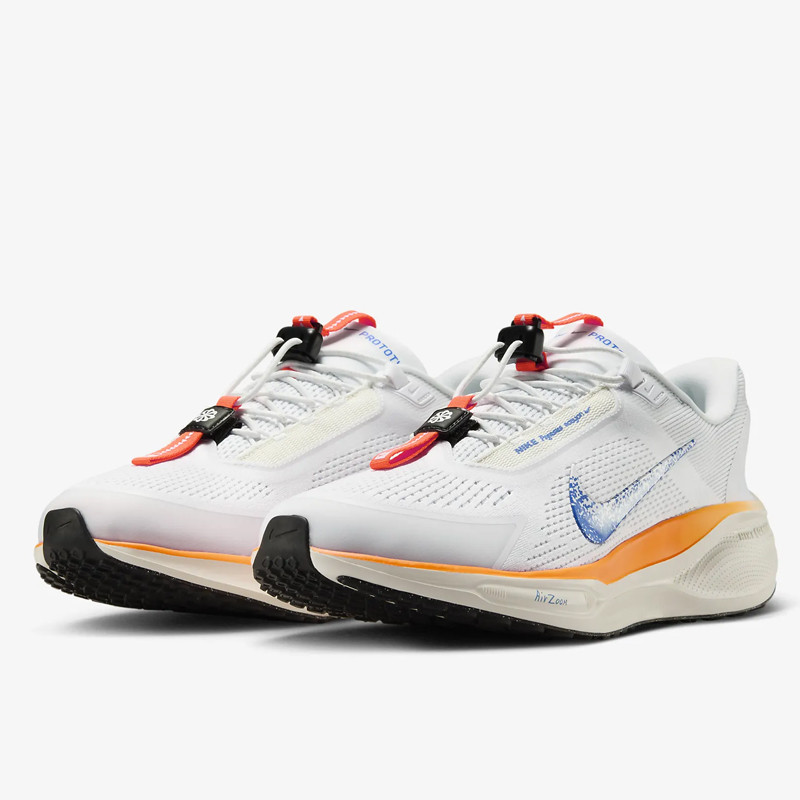 SEPATU LARI NIKE Pegasus EasyOn Blueprint